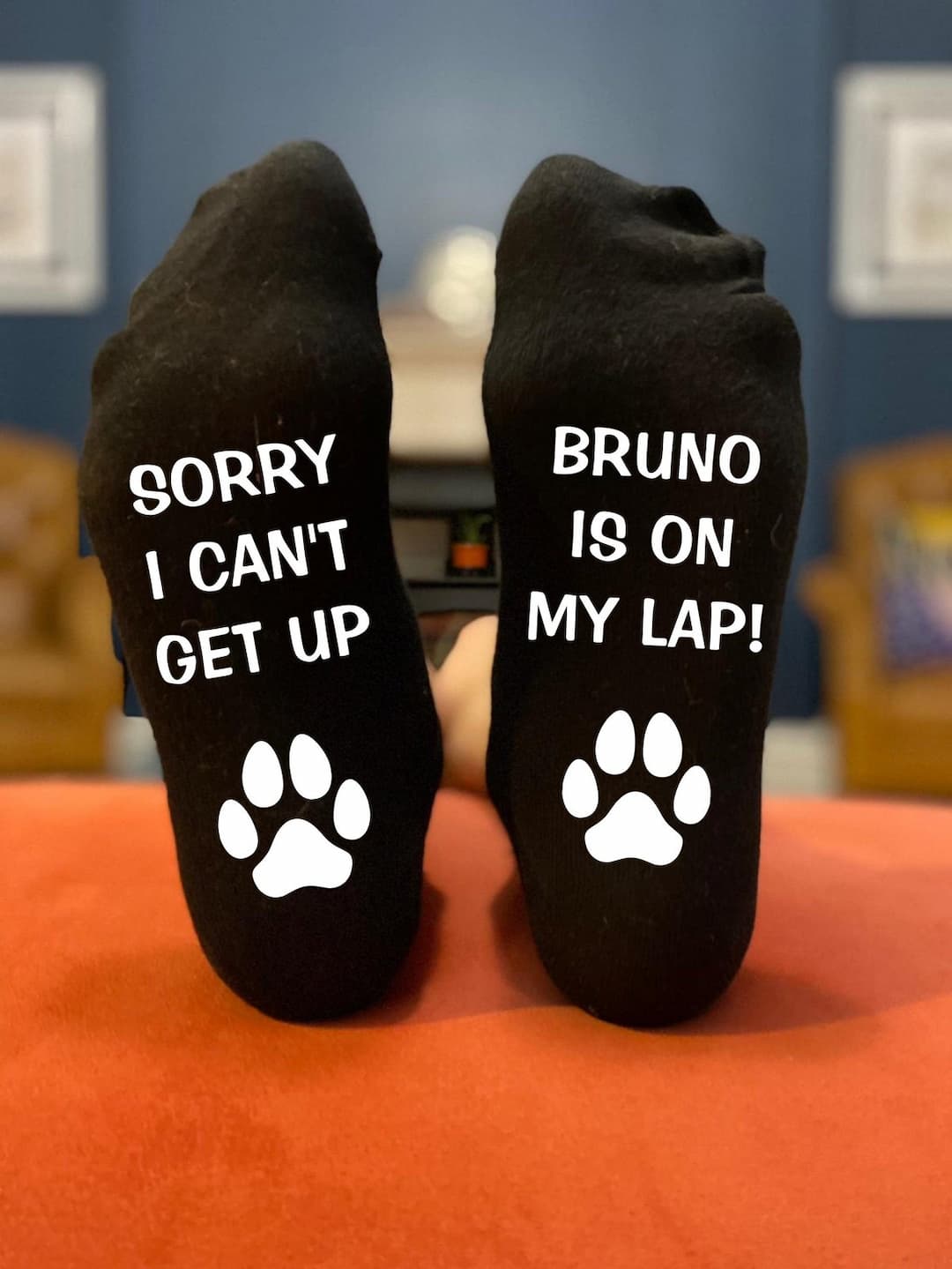 Personalised Dog Funny Birthday, Christmas, Father's Day Socks